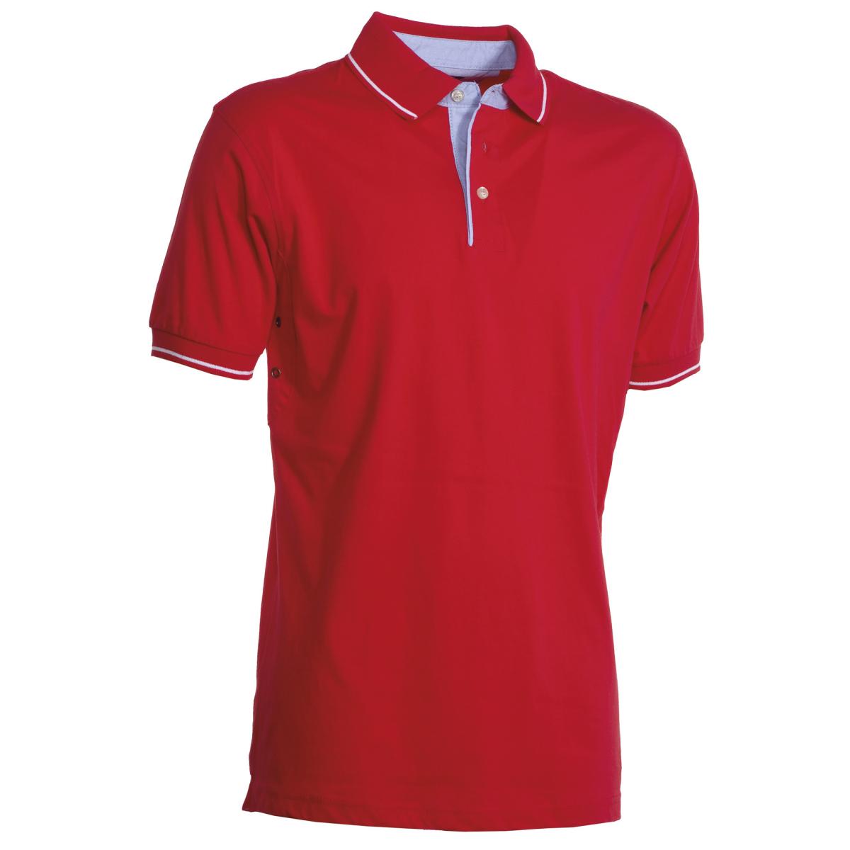 Immagine principale 5