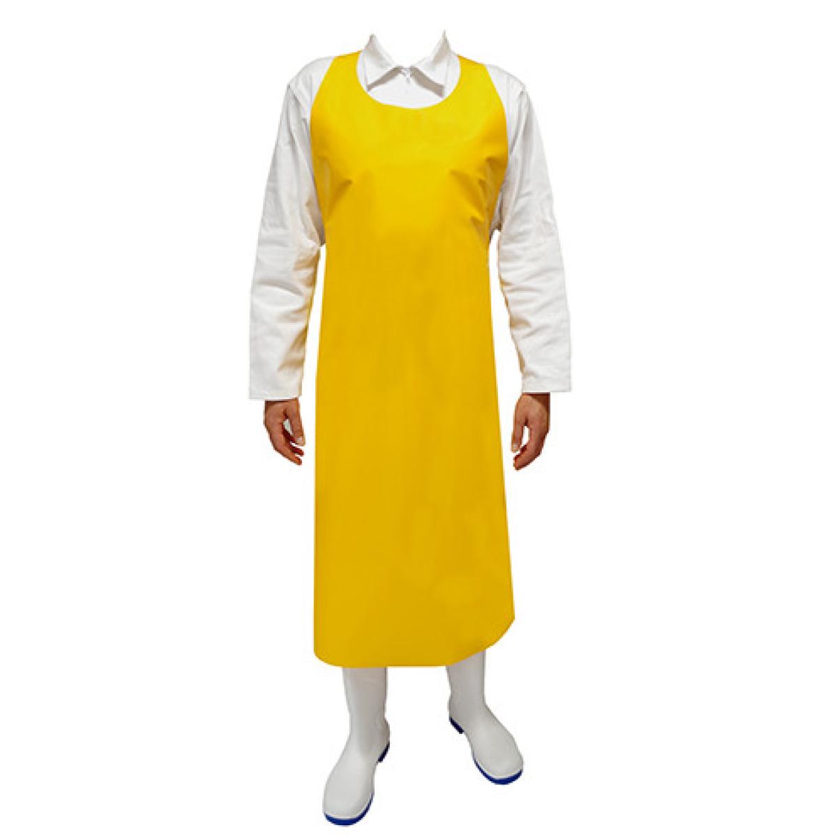 Immagine principale 2