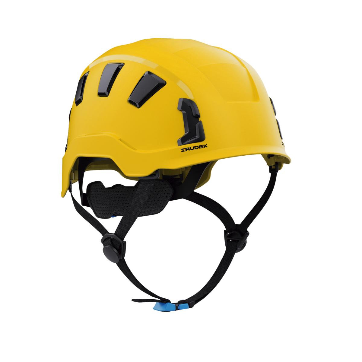 Immagine principale 4